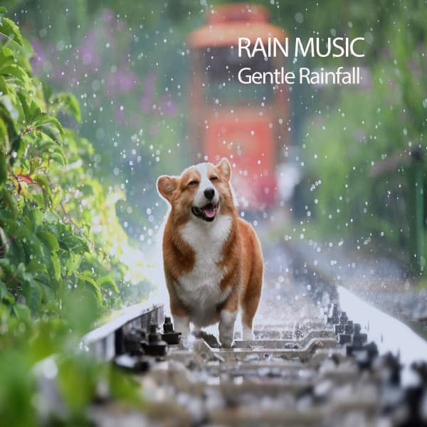 Study Music Experience