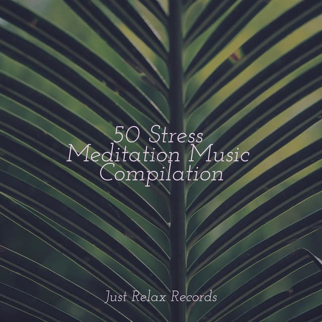 50 Stress Meditation Music Compilation - Nursery Rhymes Club
