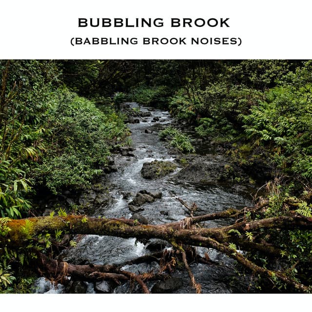 Bubbling Brook - Serene Rose