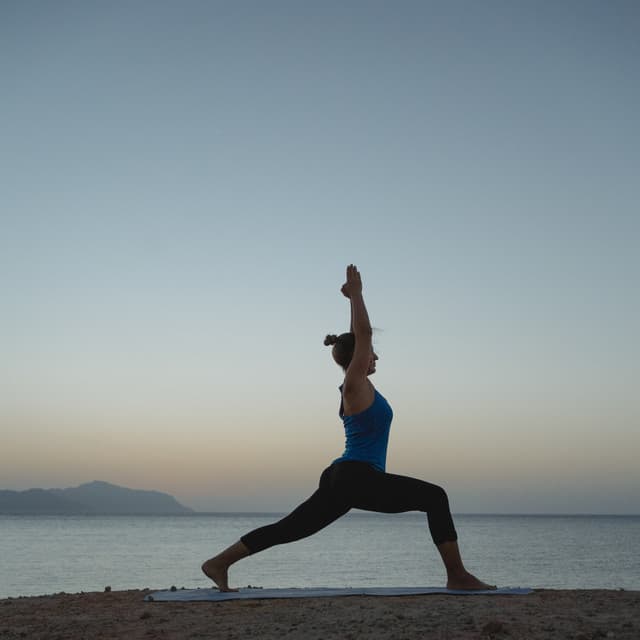 Yoga & Meditation Music