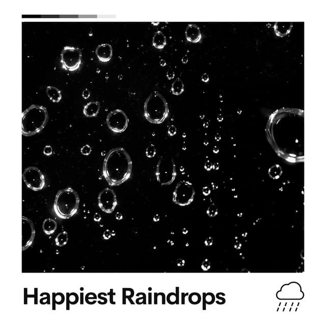 Happiest Raindrops - The Rain Factory