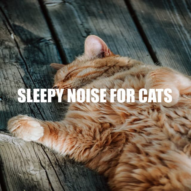 Sleepy Noise for Cats - Cat Music