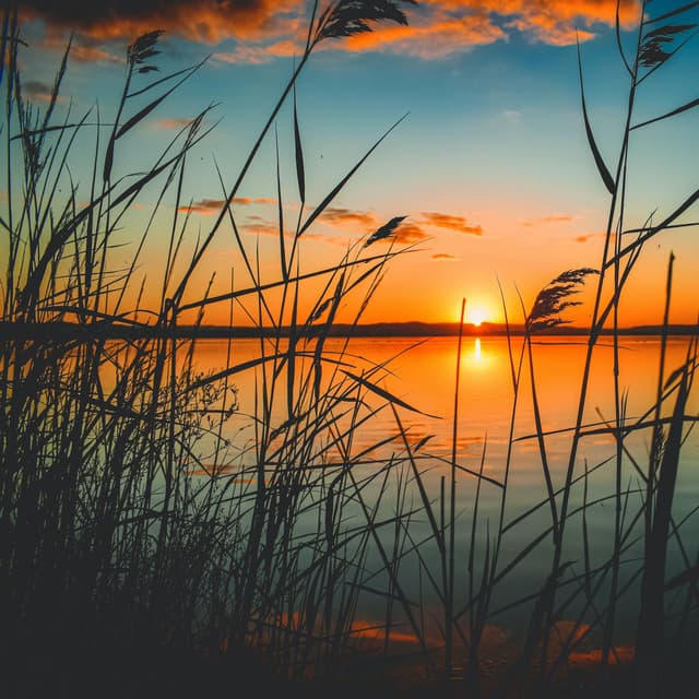 50 Ambient Songs for Relaxation & Vibes - Meditation Rain Sounds