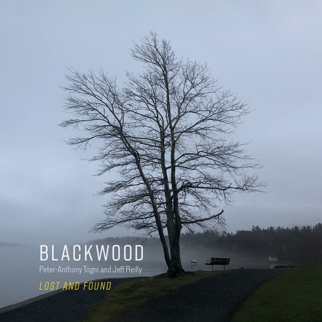 Lost and Found - Blackwood