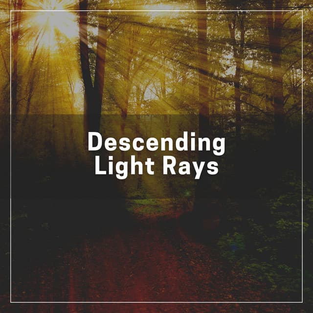 Descending Light Rays - Zen