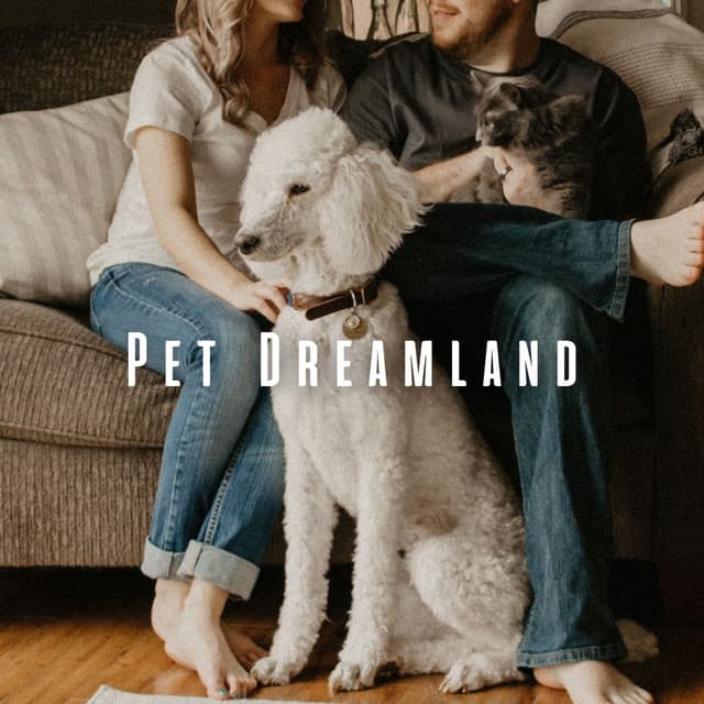 Pet Dreamland: Tranquil Pink Noise for Restful Pet Sleep - Pink Noise Pacifying Newborns
