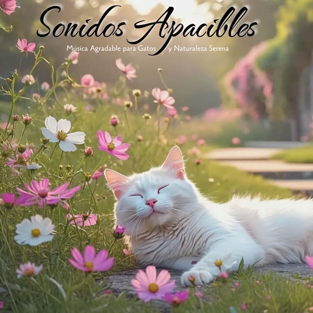 Sonidos Apacibles: Música Agradable para Gatos y Naturaleza Serena - Vanda Tuomalas