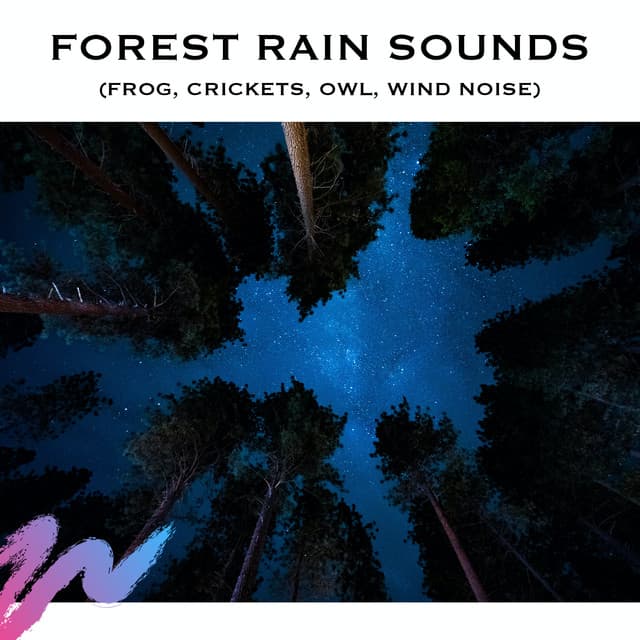 Forest Rain Sounds - ASMR Earth