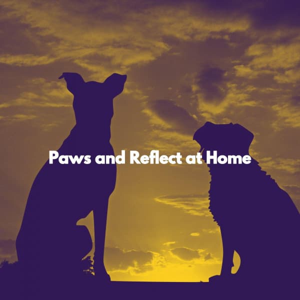 Paws and Reflect at Home - Cafe & Chill