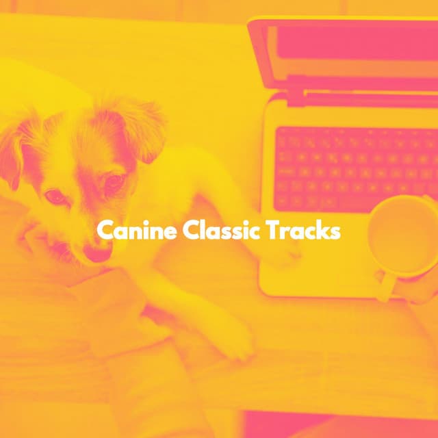 Canine Classic Tracks - Musique du Matin