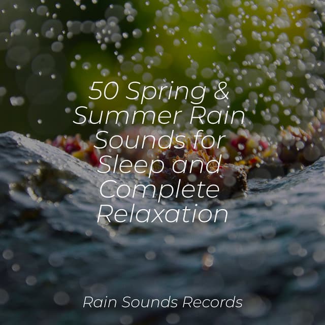 50 Spring & Summer Rain Sounds for Sleep and Complete Relaxation - Ocean Sounds