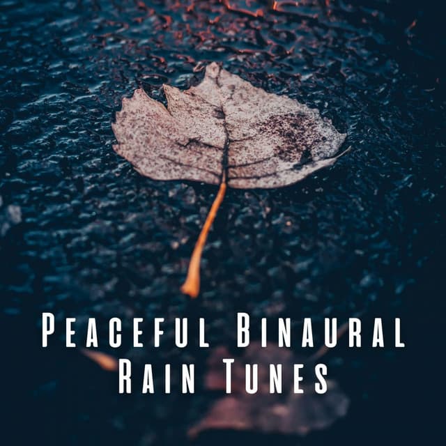 Peaceful Binaural Rain Tunes - The Sound Of The Rain