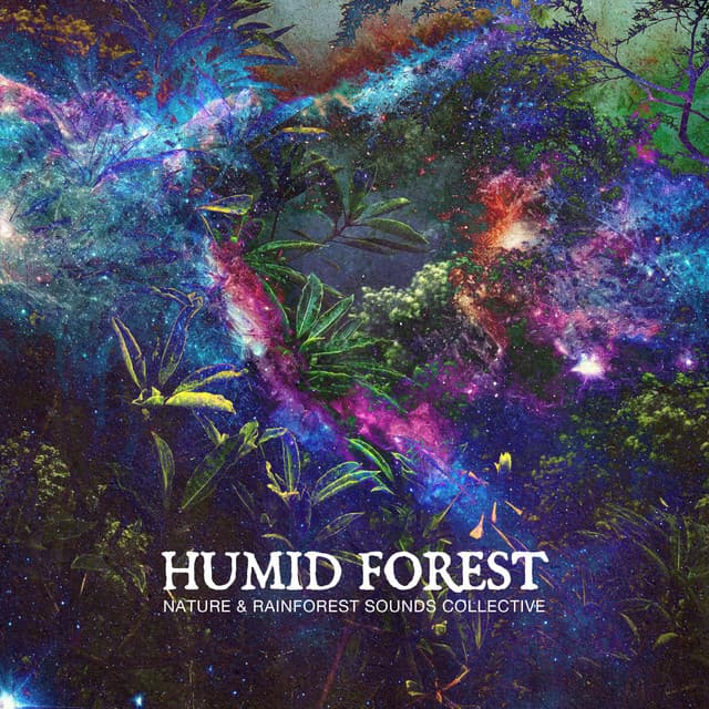 Humid Forest - Nature & Rainforest Sounds Collective