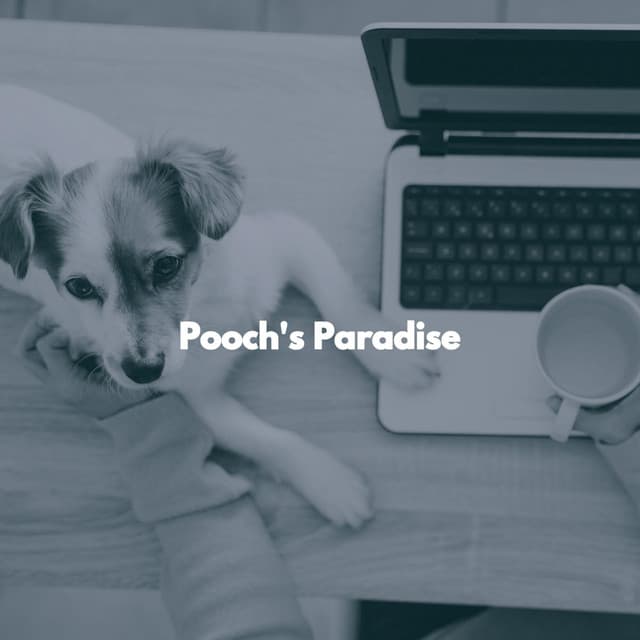 Pooch's Paradise - Good Morning Music