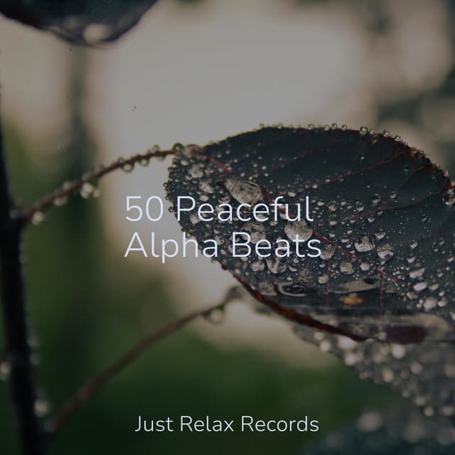 50 Peaceful Alpha Beats - kinderliedjes