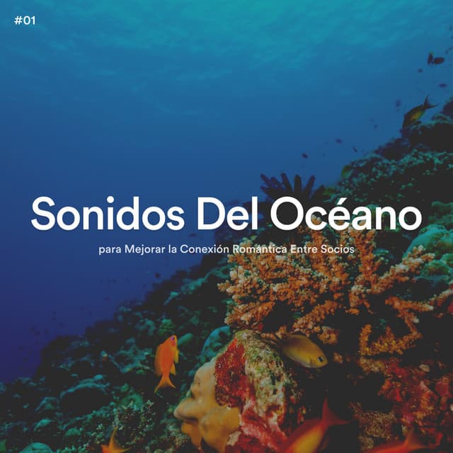 #01 Sonidos Del Océano para Mejorar la Conexión Romántica Entre Socios - Olas del Mar