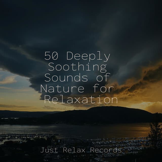 50 Deeply Soothing Sounds of Nature for Relaxation - Study Music & Sounds
