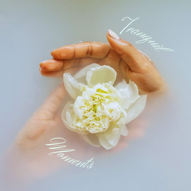 Tranquil Moments: Relaxing Massage Music - Spa Music Relaxation Meditation