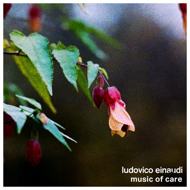 Music of Care - Ludovico Einaudi
