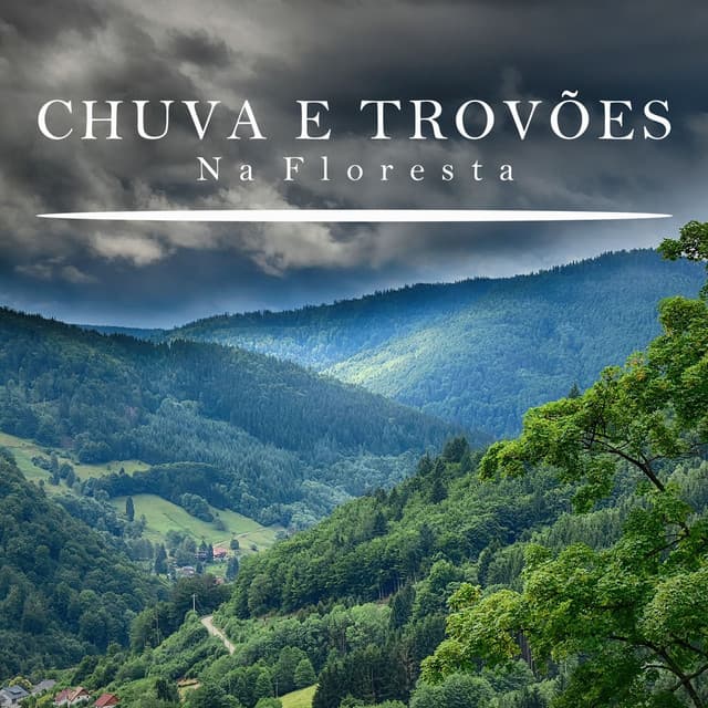 Chuva e Trovões na Floresta - Som De Chuva e Trovoadas
