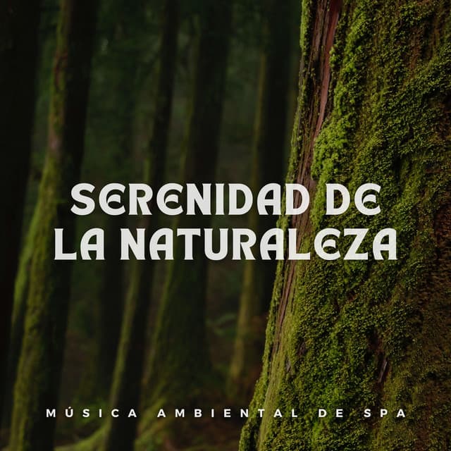 Serenidad de la Naturaleza: Música Ambiental de Spa - Ambiente de naturaleza