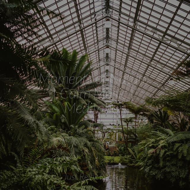 Moments of Nature | Calm Music | Meditation - Musica de Relajación Academy