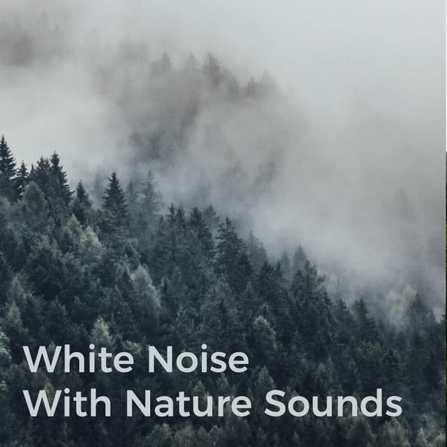 White Noise with Nature Sounds - Tranquil Music Sound of Nature