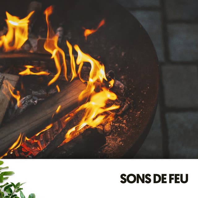 Sons de Feu : Fusion Flamenco - Sonidos De Fuego