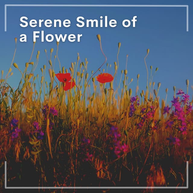 Serene Smile of a Flower - Amazing Spa Music