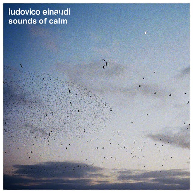 Sounds of Calm - Ludovico Einaudi