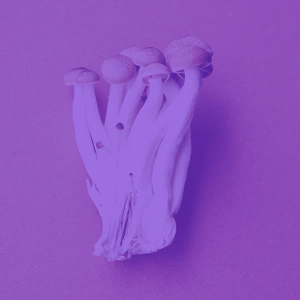 Music for Storytelling - Reading Music Deluxe