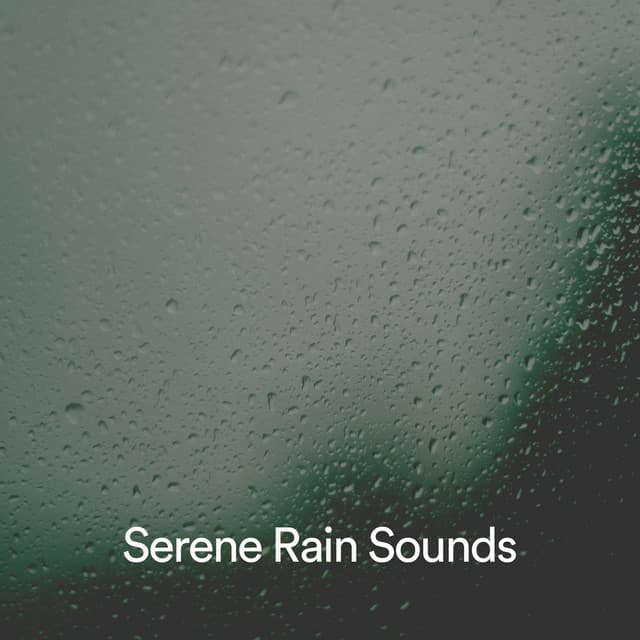 Serene Rain Sounds - 24H Rain Sounds