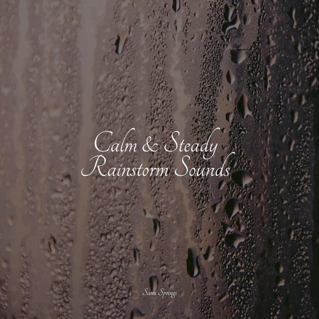 Calm & Steady Rainstorm Sounds - Lluvia PQ