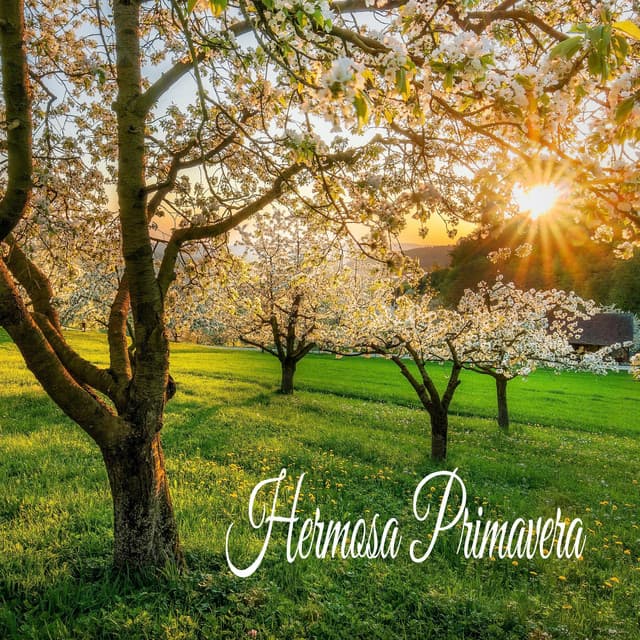 Hermosa Primavera - Serenidad y Armonía