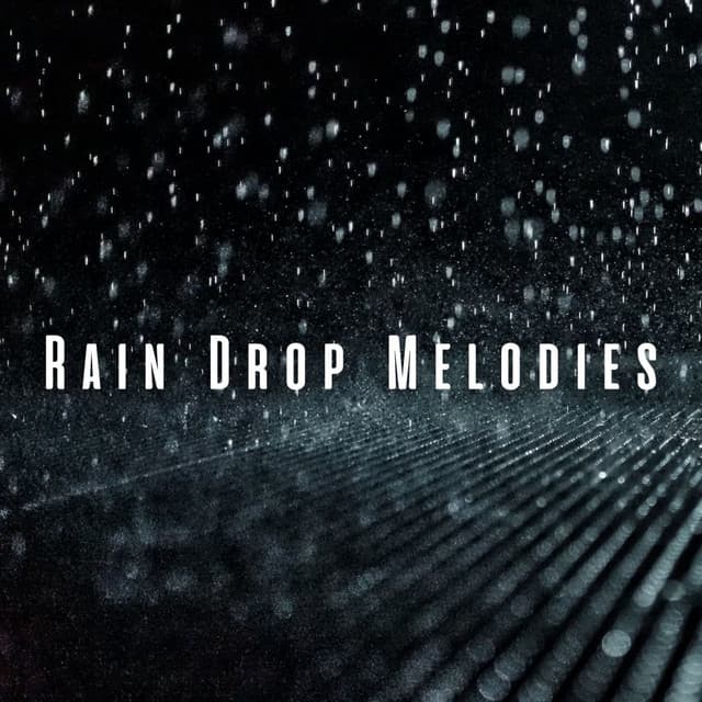 Rain Drop Melodies: Meditative Beach Waves for Cats - Ricky Rainsound