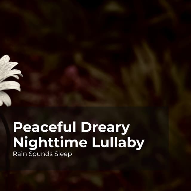 Peaceful Dreary Nighttime Lullaby - Rain Sounds Sleep