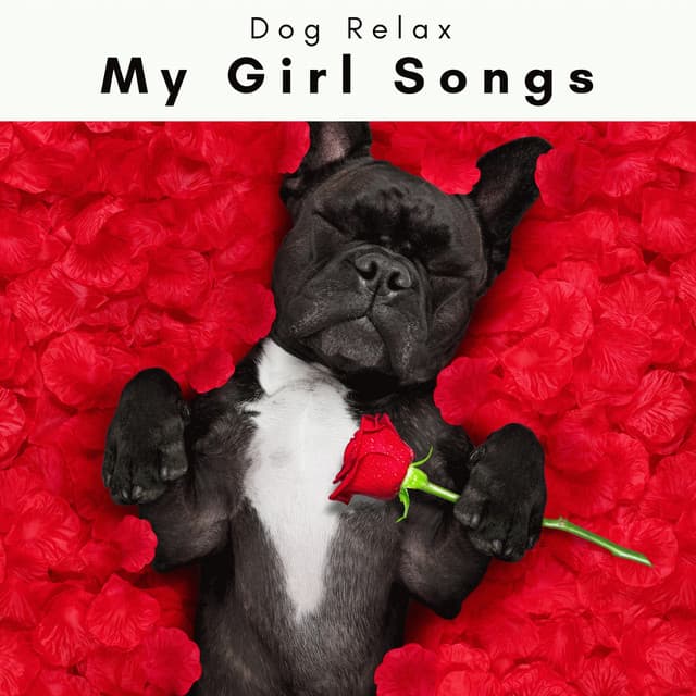 4 Dogs: My Girl Songs - Dog Relax