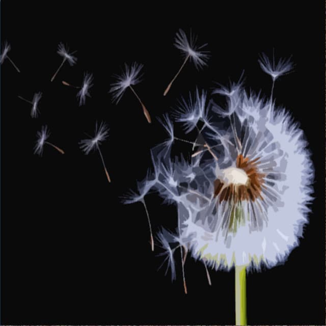 Wind and Rain for Background Sounds and Natural White Noise - Mother Nature Sound FX