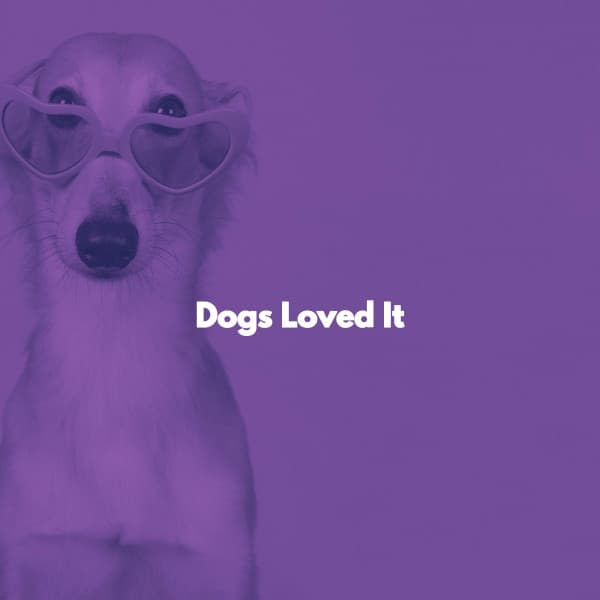 Dogs Loved It - Easy Instrumental Jazz