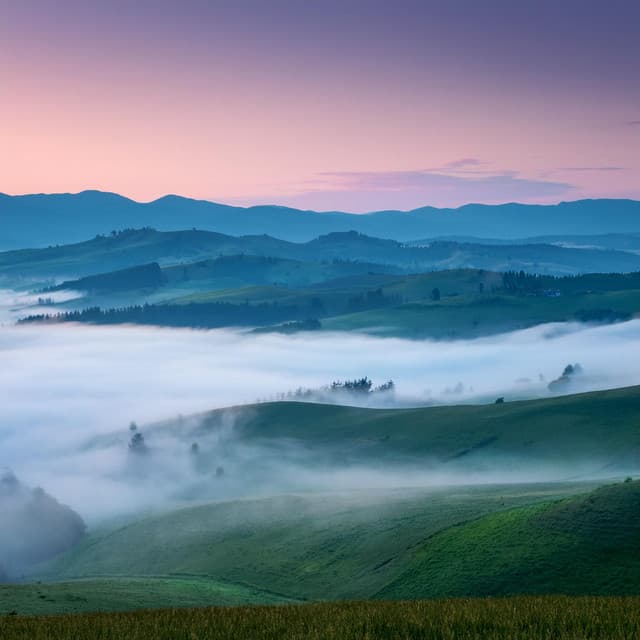 Meditación Rítmica: Sesiones Tonales Tranquilas - Musica Reiki