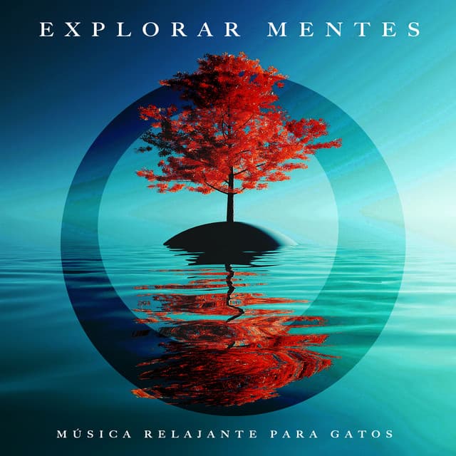 Explorar mentes - Música Relajante para Gatos