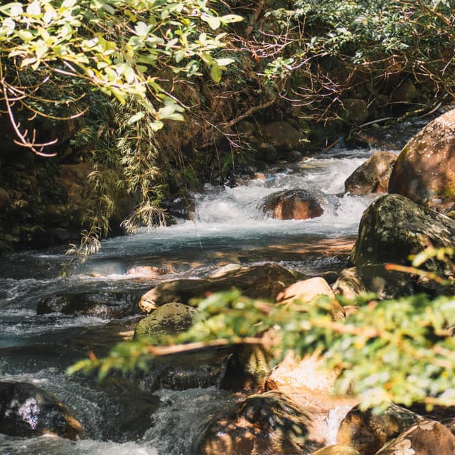 Wisdom Waves: Chill Music Water Study - Inner Peace Channel