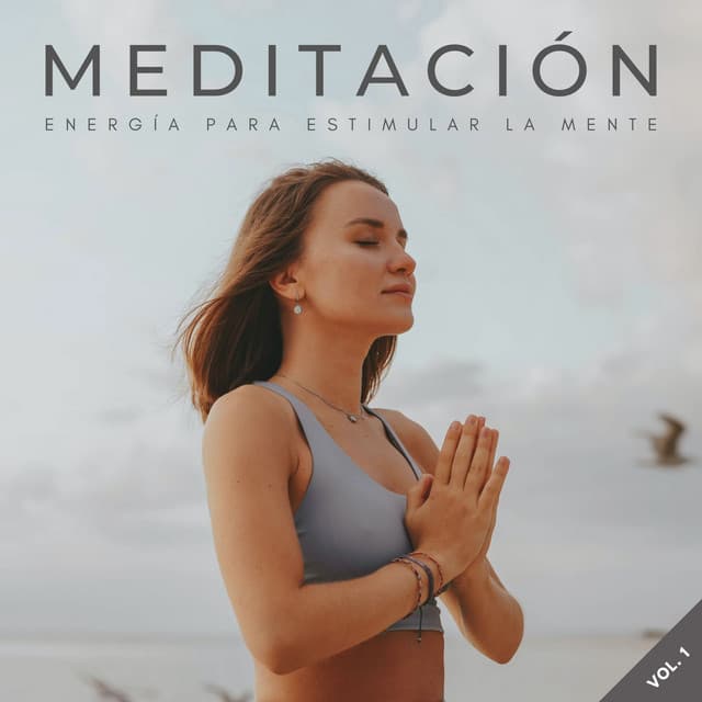 Meditación: Energía Para Estimular La Mente Vol. 1 - Meditación Con Ruido Rosado