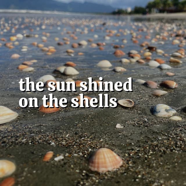 The Sun Shined on the Shells - Nature Of Sweden