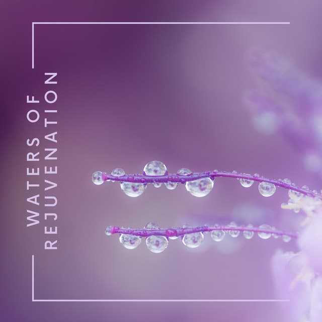 Waters of Rejuvenation - Isabel Sallow
