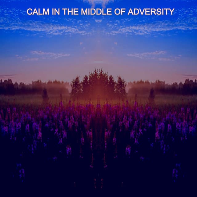 Calm in the Middle of Adversity - Lo Fi Hip Hop