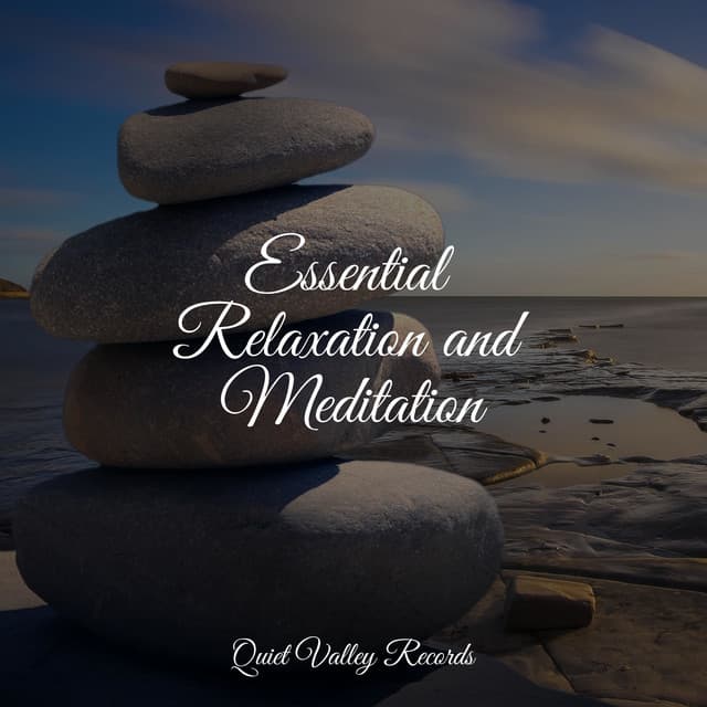 Essential Relaxation and Meditation - Ambient Arena