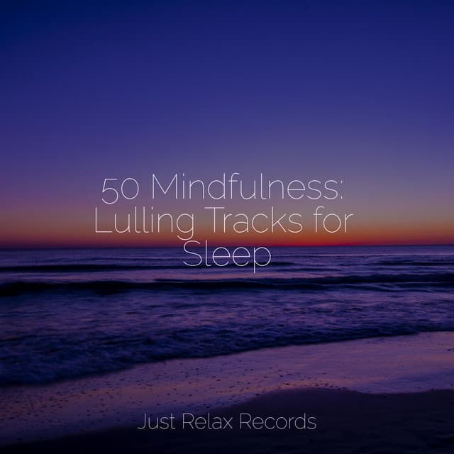 50 Mindfulness: Lulling Tracks for Sleep - Relaxing Mindfulness Meditation Relaxation Maestro