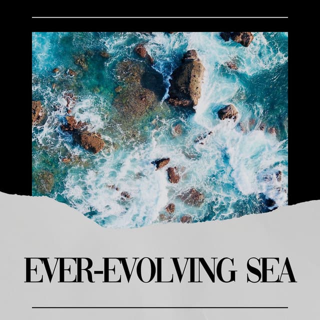 Ever-evolving Sea - Ocean Sounds FX