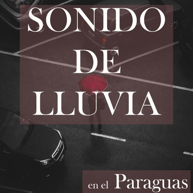 Sonido de Lluvia en el Paraguas - Sonidos Relajantes de la Naturaleza by Beneluxa